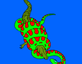Dibuix Anaconda i caiman pintat per yusbel