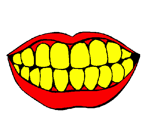 Boca i dents
