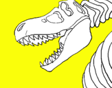 Dibuix Esquelet tiranosauri rex pintat per ca