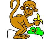 Dibuix Mono pintat per carles fradera