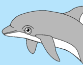 Dibuix Dofí pintat per laia