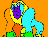 Dibuix Goril·la pintat per toni llovera roca
