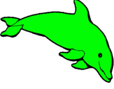 Dibuix Dofí content pintat per dofi verd