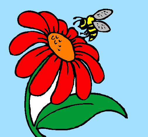 Margarida amb abella