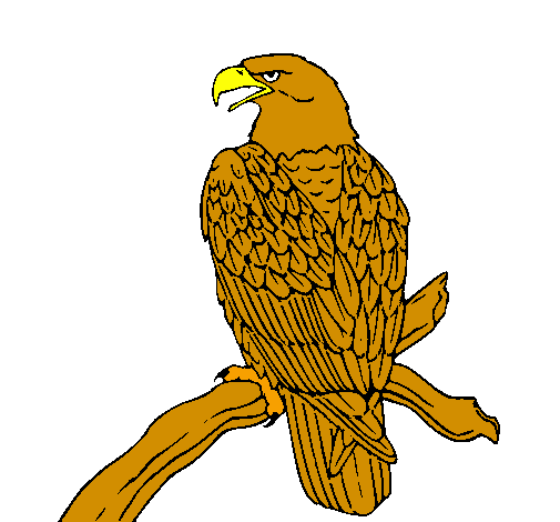 Àguila en una branca 