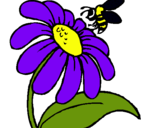Dibuix Margarida amb abella pintat per monica