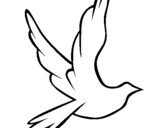 Dibuix Colom de la pau al vol  pintat per colom