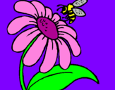 Dibuix Margarida amb abella pintat per yoco :)!! ;)