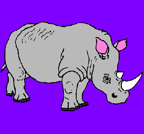 Rinoceront