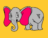 Dibuix Elefant petit pintat per julia duarte