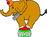 Dibuix Elefant sobre una pilota pintat per ROC