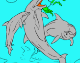 Dibuix Dofins jugant pintat per Àgueda Graell Colom