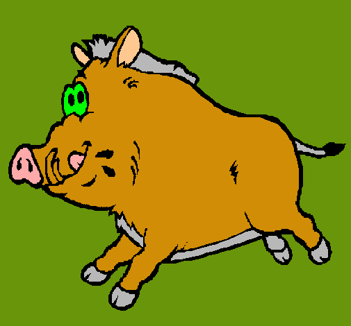 Dibuix Porc senglar pintat per eudald