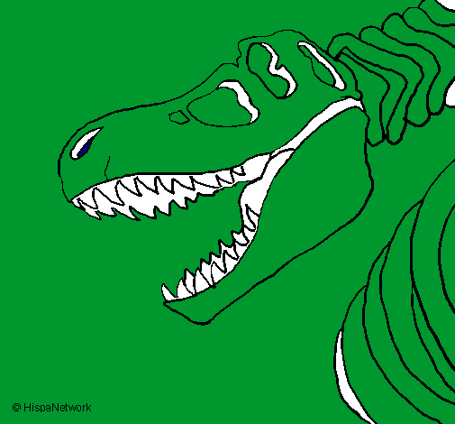 Esquelet tiranosauri rex