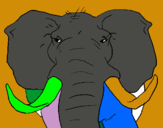 Dibuix Elefant africà pintat per aina busquets