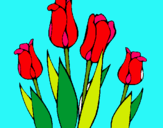 Dibuix Tulipes pintat per           PADRINA  ELVIRA