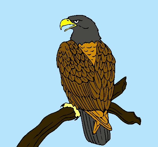 Dibuix Àguila en una branca  pintat per aliga