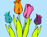 Dibuix Tulipes pintat per yaiza
