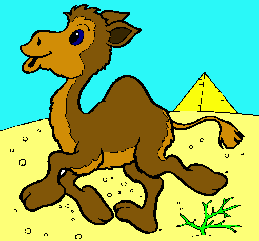 Dibuix Camell pintat per jan solà