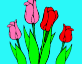 Dibuix Tulipes pintat per aniol