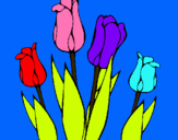 Dibuix Tulipes pintat per Lucia