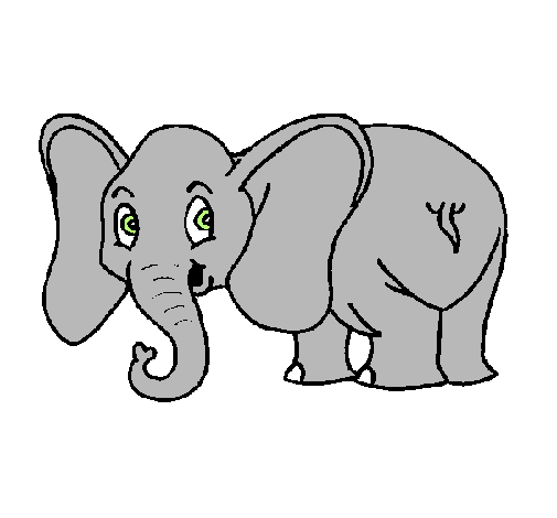 Elefant petit