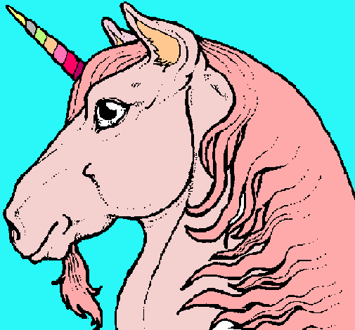 Cap d'unicorn