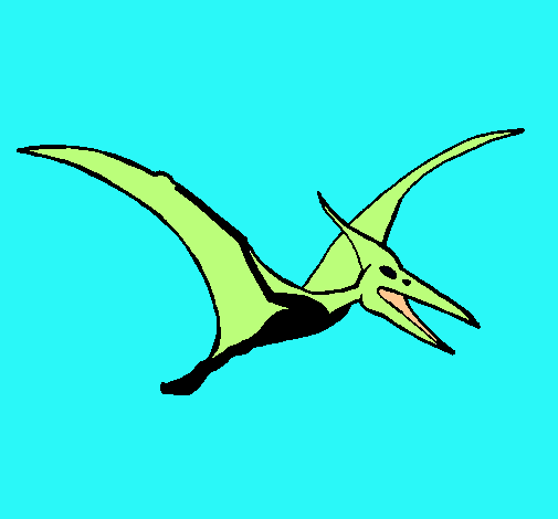 Pterodàctil