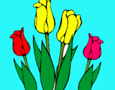 Dibuix Tulipes pintat per ALBA