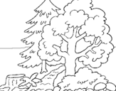 Dibuix Bosc pintat per arbre model