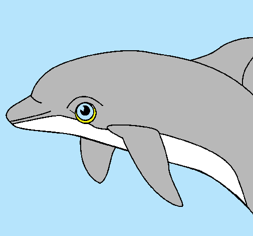 Dofí