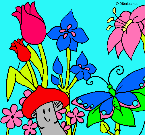 Dibuix Fauna i flora pintat per estiu