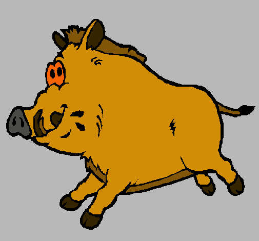 Dibuix Porc senglar pintat per x