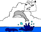 Dibuix Dofí i gavina pintat per oriol
