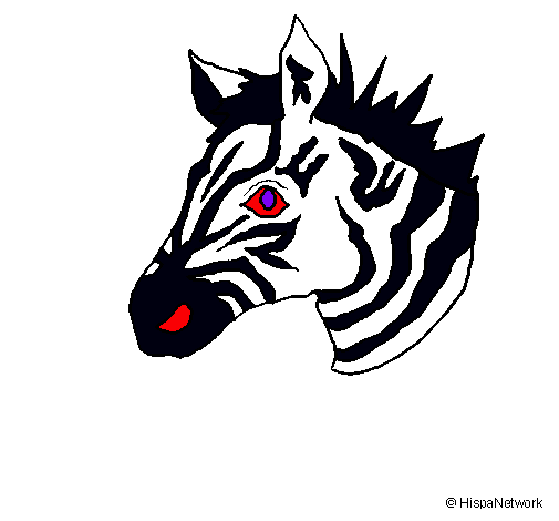 Dibuix Zebra II pintat per LOLA DUQUE LAMMERSDORF