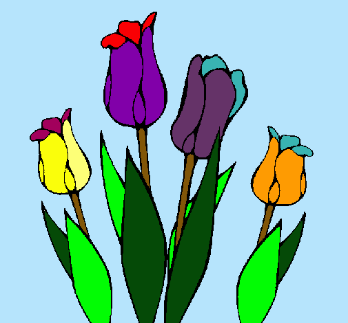 Dibuix Tulipes pintat per Tulipes de colors