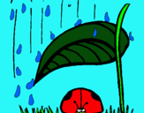Dibuix Marieta de set punts protegida de la pluja  pintat per LETICIA