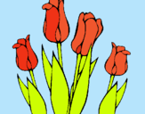 Dibuix Tulipes pintat per yazmin
