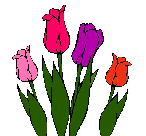 Dibuix Tulipes pintat per Zay_Zindesender