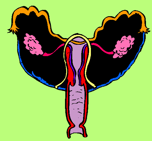 Dibuix Vagina pintat per ARNAU CABALLERO