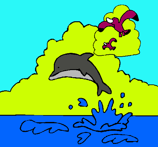 Dibuix Dofí i gavina pintat per bghgvg