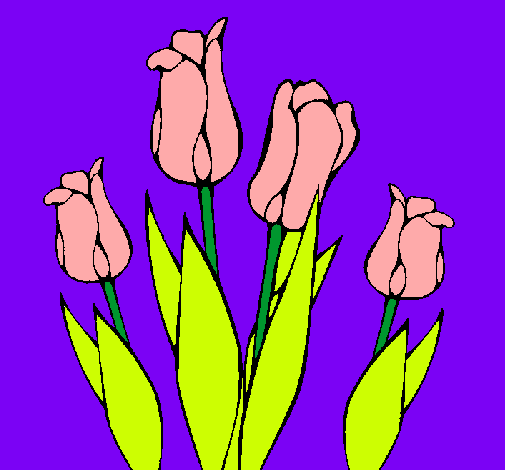 Dibuix Tulipes pintat per Maria Martori