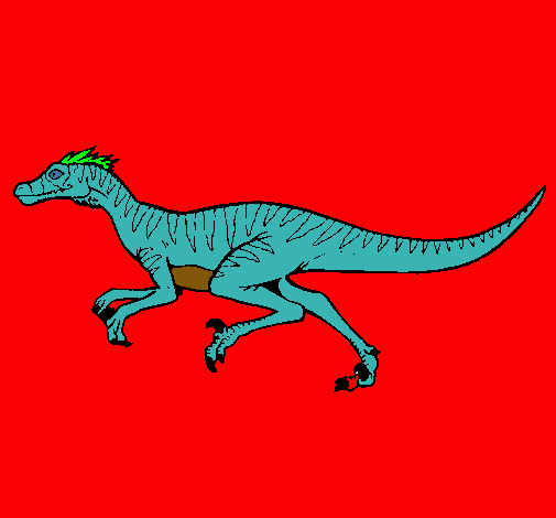Dibuix Velociraptor  pintat per nicolas moreno escorza