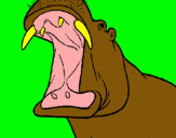 Dibuix Hipopòtam amb la boca oberta pintat per eudald bmasdou