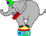 Dibuix Elefant sobre una pilota pintat per JORDI