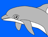 Dibuix Dofí pintat per Izan GG