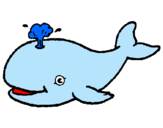 Dibuix Balena expulsant aigua pintat per Mo