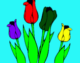 Dibuix Tulipes pintat per jordi q