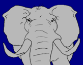 Dibuix Elefant africà pintat per jordi paradeda