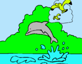Dibuix Dofí i gavina pintat per jelly Fish